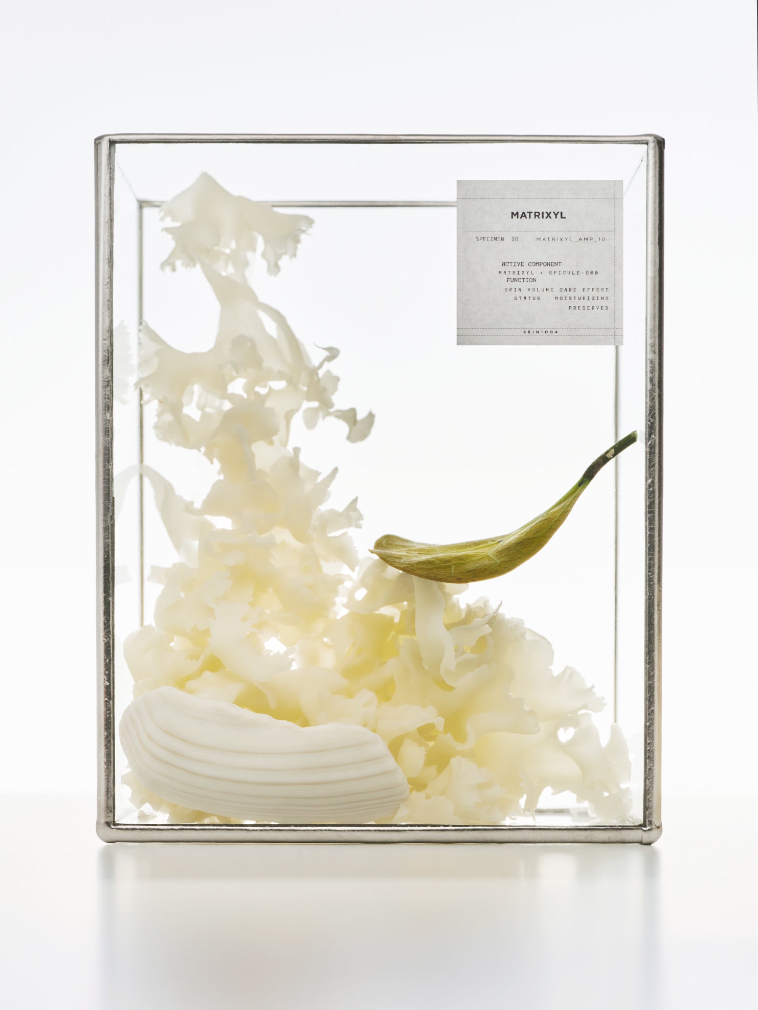 [SKIN1004] Madagascar Centella Lab in Nature Matrixyl 10 Boosting Shot Ampoule