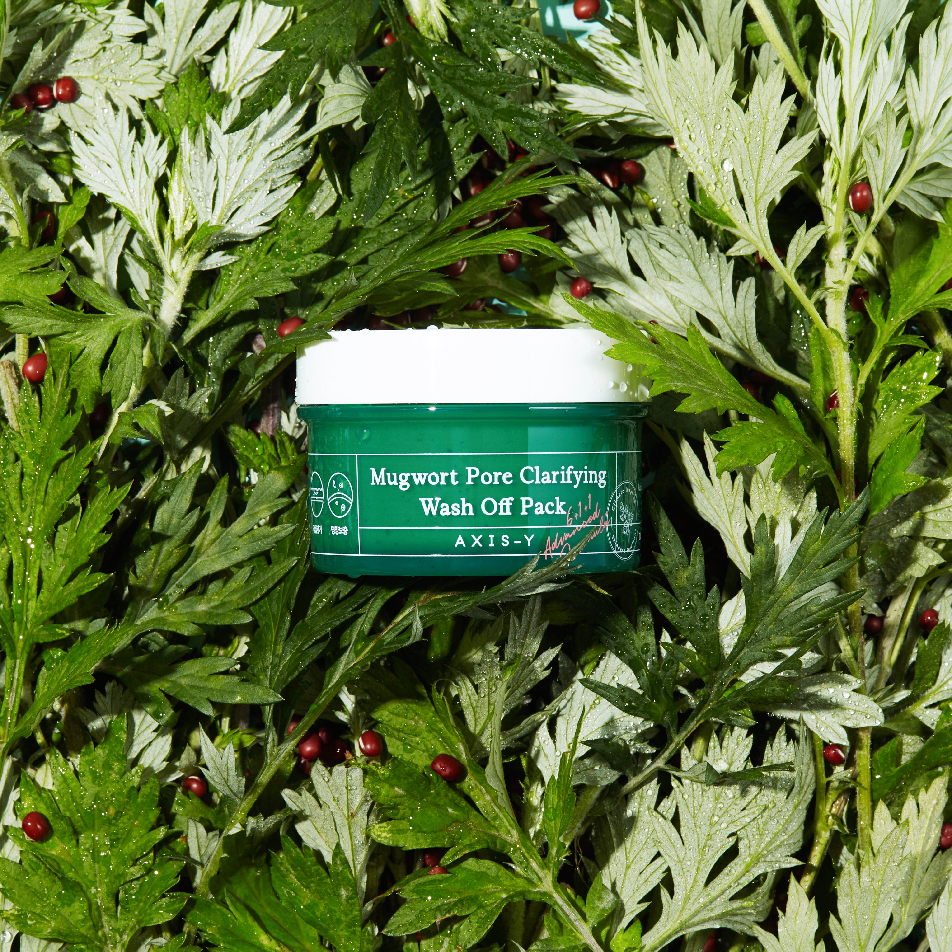 [AXIS-Y] Mugwort Pore Clarifying Wash Off Pack